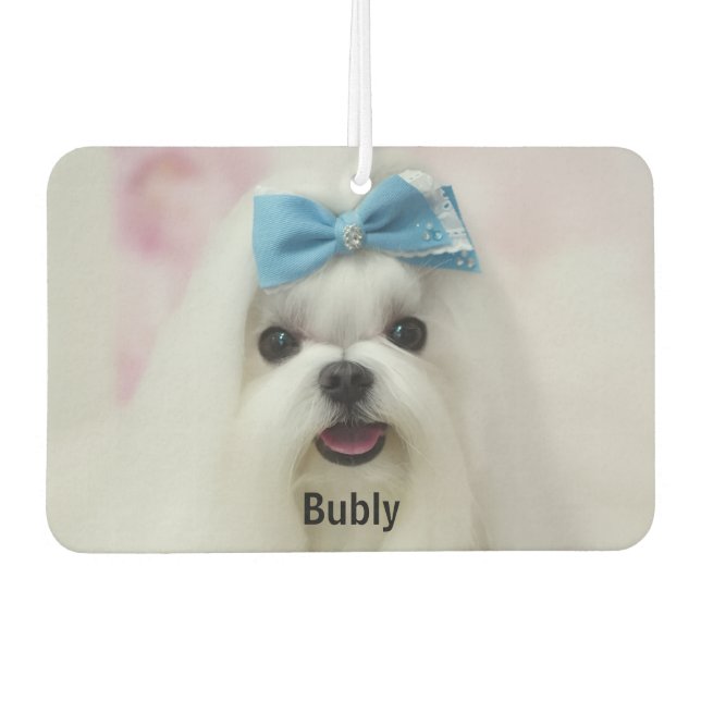 Custom Photo Text Logo Personalized Branding  Car Air Freshener (Front)