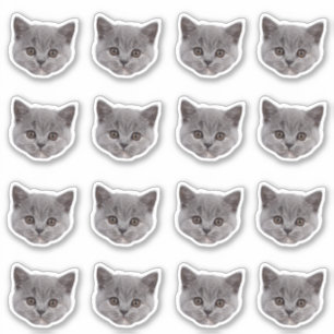 Custom Photo Waterproof Vinyl Stickers