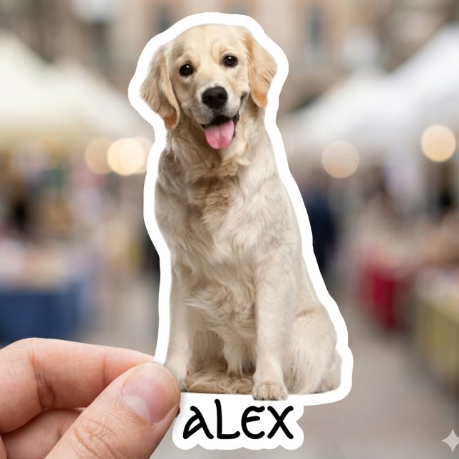 Custom Photo Waterproof Vinyl Stickers (Creator Uploaded)