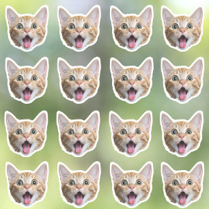 Custom Photo Waterproof Vinyl Stickers