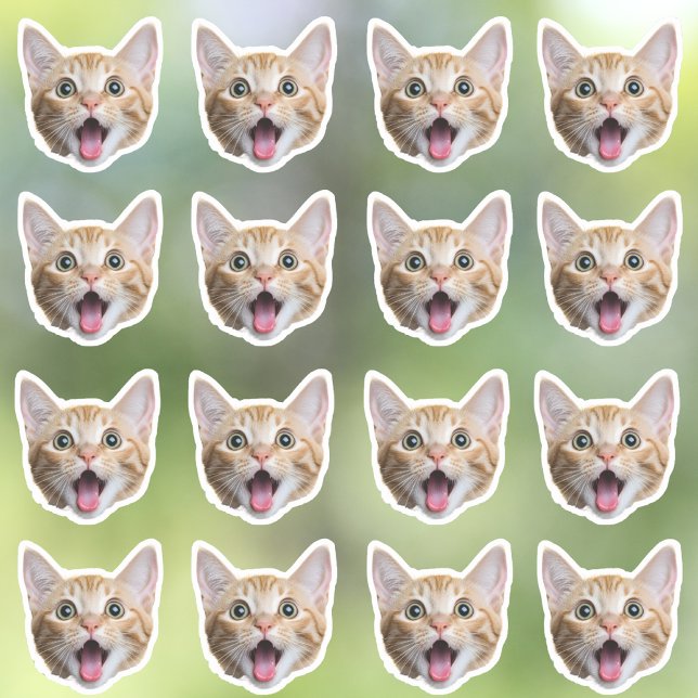 Custom Photo Waterproof Vinyl Stickers (Creator Uploaded)