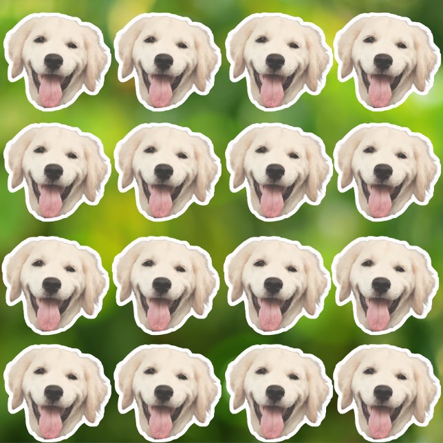 Custom Photo Waterproof Vinyl Stickers (Creator Uploaded)