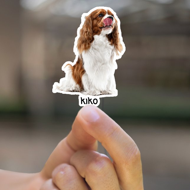 Custom Photo Waterproof Vinyl Stickers (Creator Uploaded)