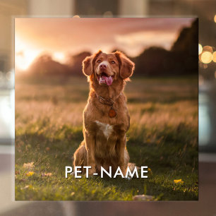 Custom Photo With Your Pet Dog Name Picture On