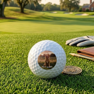Custom Photo With Your Pet Dog Name Picture On Golf Balls