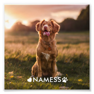 Custom Photo With Your Pet Dog Name Picture On Print