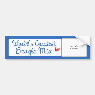 Custom Photo! Worlds Greatest Beagle Mix Bumper Sticker