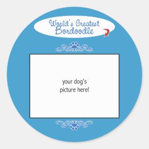 Custom Photo! Worlds Greatest Bordoodle Classic Round Sticker