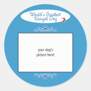 Custom Photo! Worlds Greatest Kangal Dog Classic Round Sticker