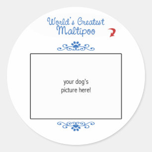 Custom Photo! Worlds Greatest Maltipoo Classic Round Sticker