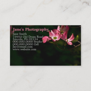 Custom Photography Business Cards