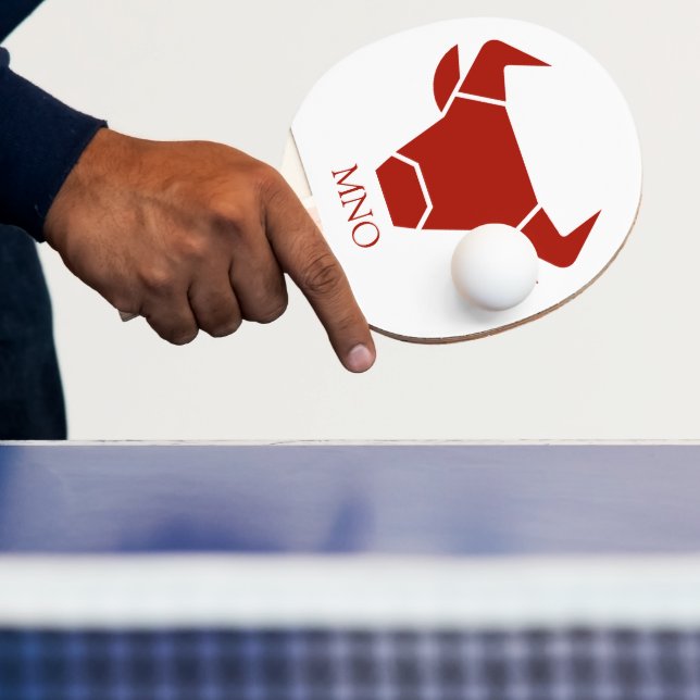 Custom Ping Pong Paddle  (Insitu)