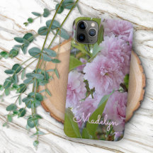 Custom Pink Spring Cherry Blossom Tree Photo