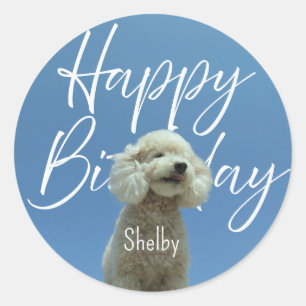 Custom Poodle Happy Birthday Blue Sky Retro Photo Classic Round Sticker