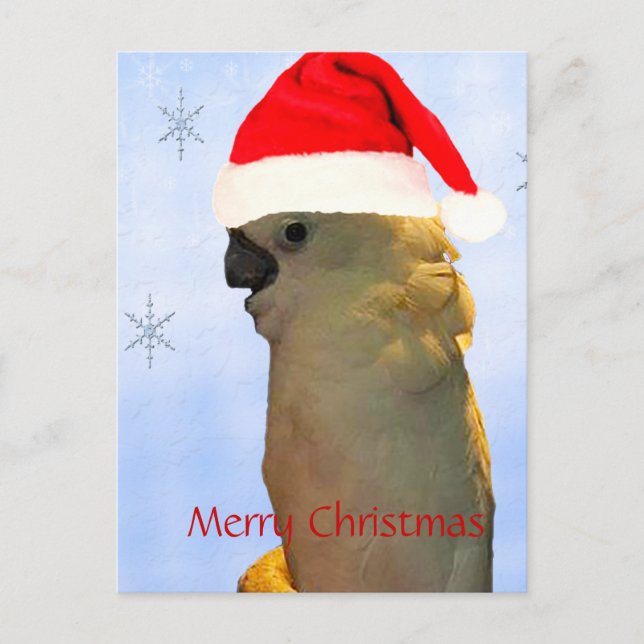 Custom Posing santa holiday Cockatoo bird (Front)