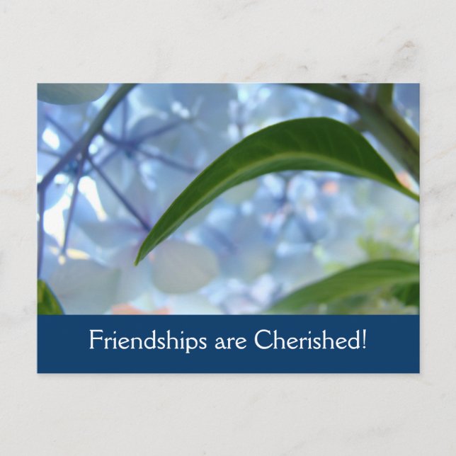 Custom postcards Friendships are Cherished! (Front)