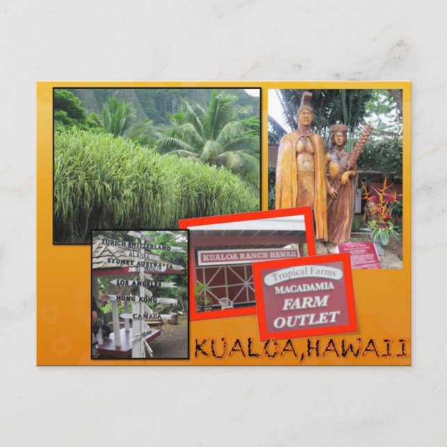 CUSTOM POSTCARDS- HAWAII COLLAGE# 25 POSTCARD (Front)