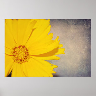 Custom Posters Fine Art Print Yellow Flower