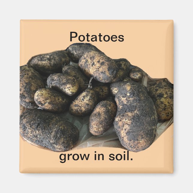 Custom Potato Magnets, harvested Magnet (Front)