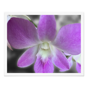 Custom Printed 16 x 20 Photo Enlargement Print