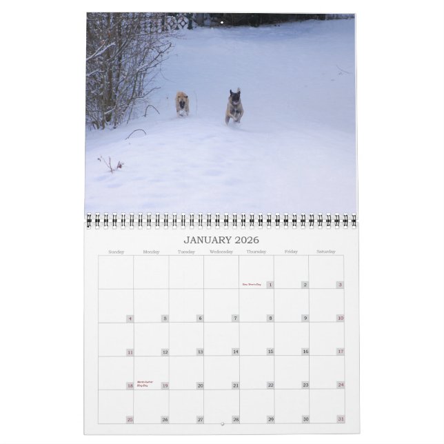 Custom Printed Calendar (Jan 2026)