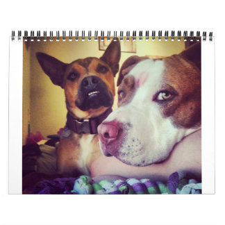 Custom Printed Calendar