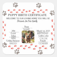 Custom Puppy Birth Certificate