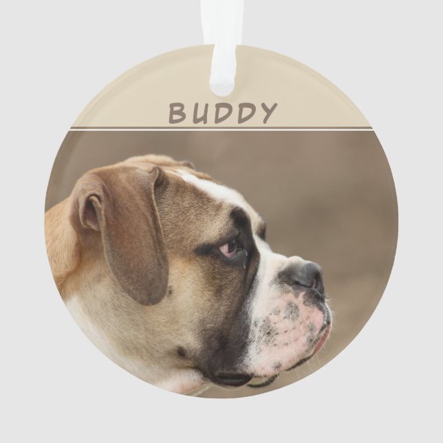 Custom Puppy Grown Dog 2 Photo Holiday Keepsake Ornament (Back)