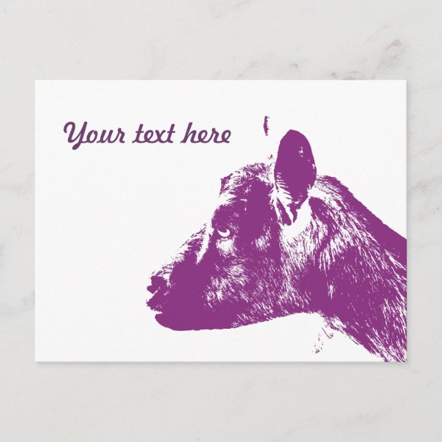 Custom Purple Goat Lover Pop Art Design Postcard (Front)