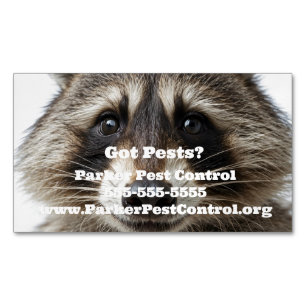 Custom Racoon Pest Control Business Card Magnet