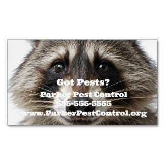 Custom Racoon Pest Control Business Card Magnet