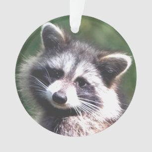 Custom Racoon Photo Ornament