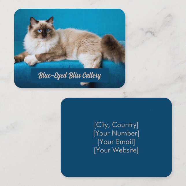 Custom Ragdoll Cattery Business Card  (Front/Back)
