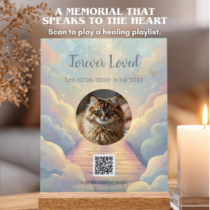 Custom Rainbow Bridge Memorial & Spotify Playlist Acrylic Sign