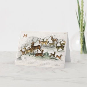 Custom Red Deer Hart, Hind, Roebuck, Musk Deer Holiday Card