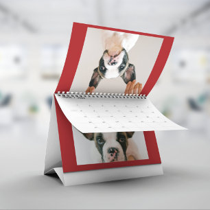 Custom Red Pet Photo  Calendar