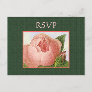 Custom RSVP Botanical Pink Roses Postcard