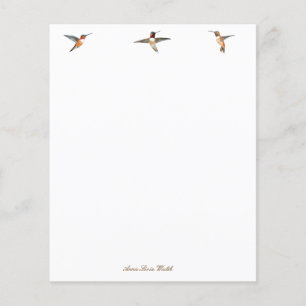 Custom Rufous Hummingbirds Stationery Paper