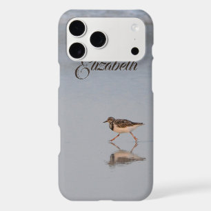 Custom Sandpiper Beach Photo Add Your Name