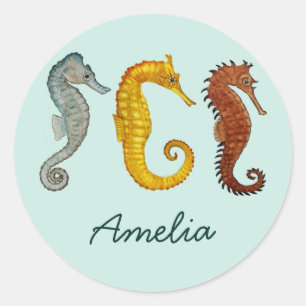 Custom Seahorses Classic Round Sticker