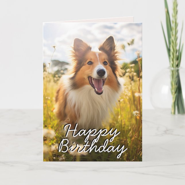 Custom Shetland Sheepdog Birthday Card (Front)