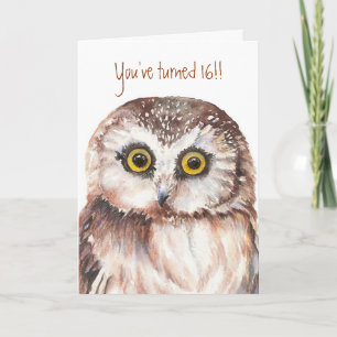 Custom Shocked Funny-Little Owl, 16th Birthday Card