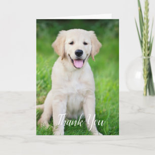 Custom Simple Dog Pet Photo Vet Tech Veterinarian  Thank You Card