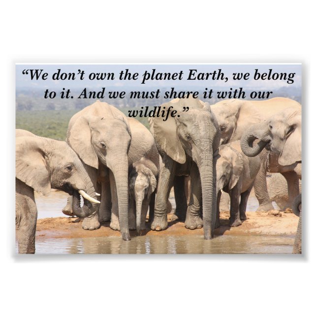 Custom Slogan/Conservation Elephant Herd Social Photo Print (Front)
