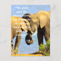 Custom Slogan/Conservation Elephant Love