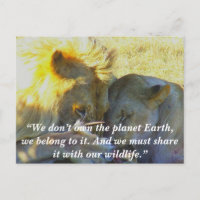 Custom Slogan/Conservation Lion Feast