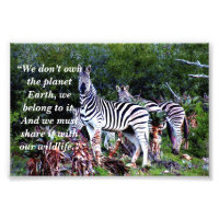 Custom Slogan/Conservation Zebra Aloe