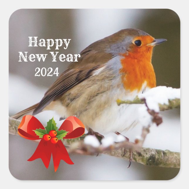 Custom Text cute robin New Year Greetings Square Sticker (Front)