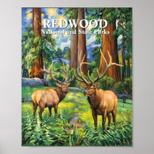 Custom Text Elk Redwood California Forest Van Gogh Poster