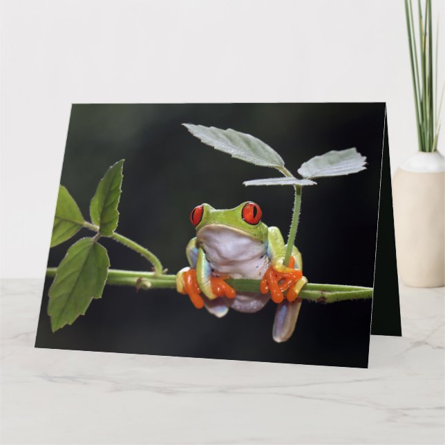 Custom Text Frog Card (Front)